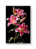 Royal Lily