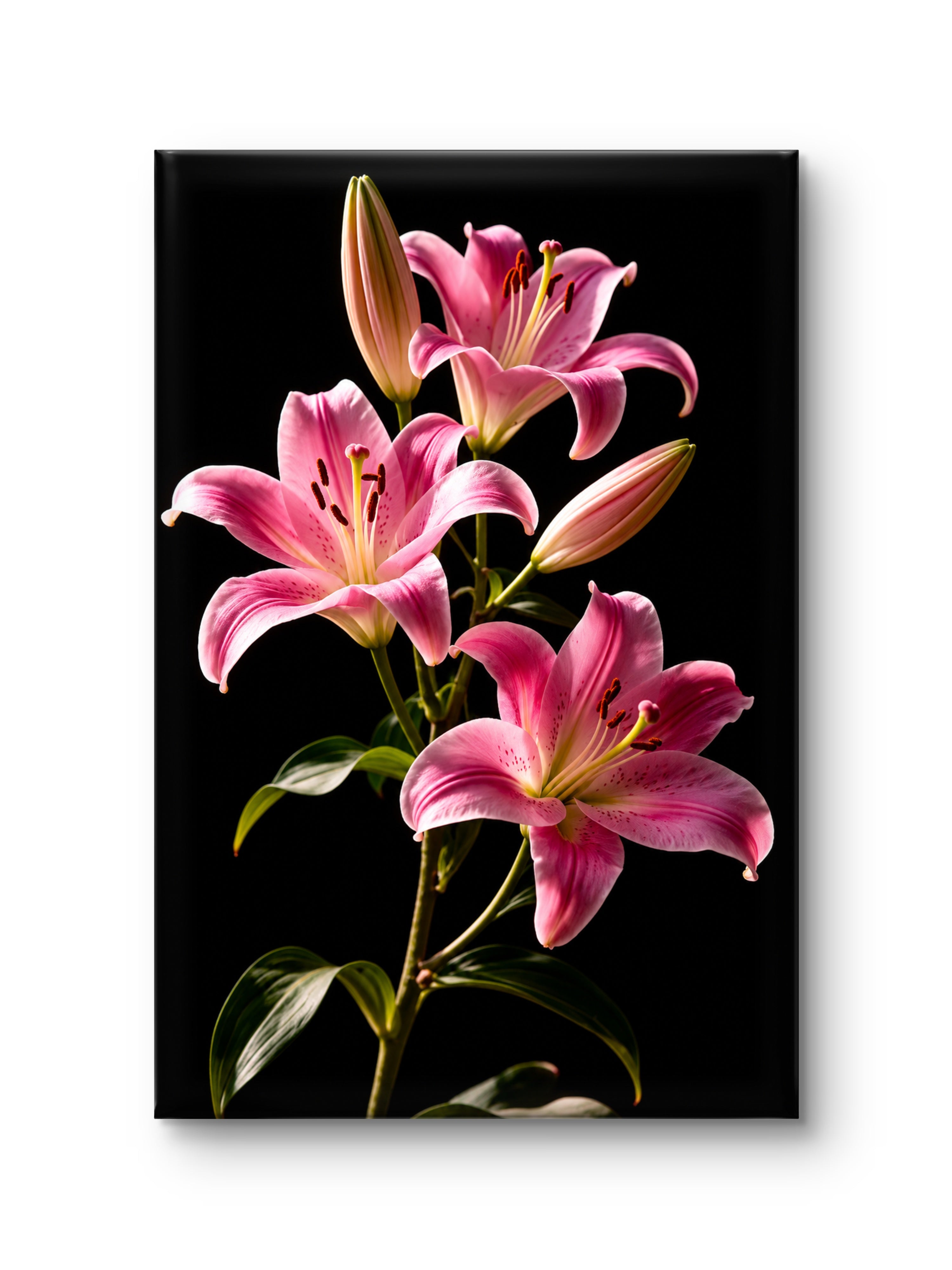 Royal Lily