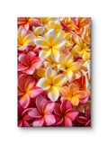Island Petals