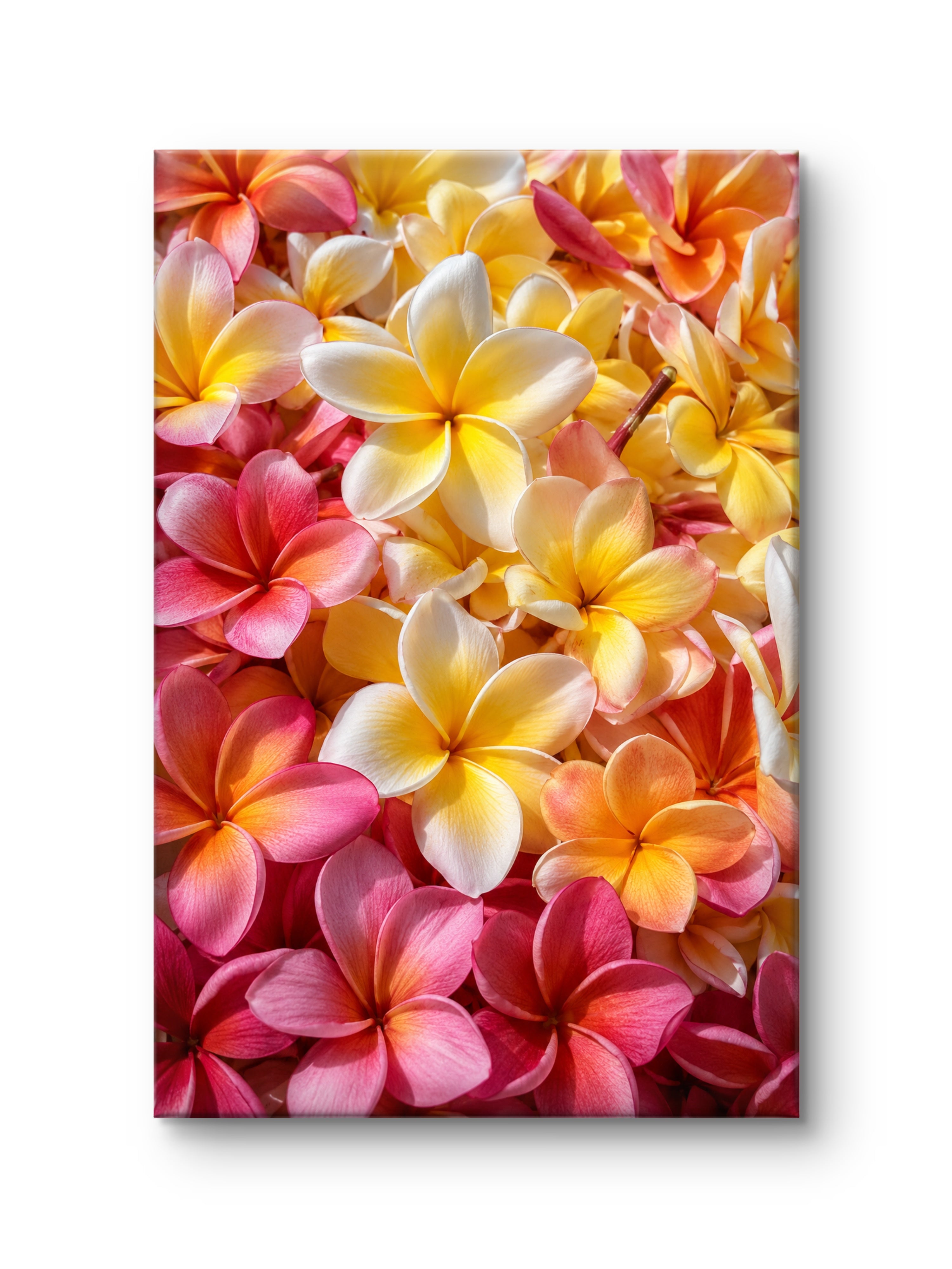Island Petals