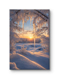 Frozen Sunrise