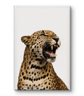 The Roar