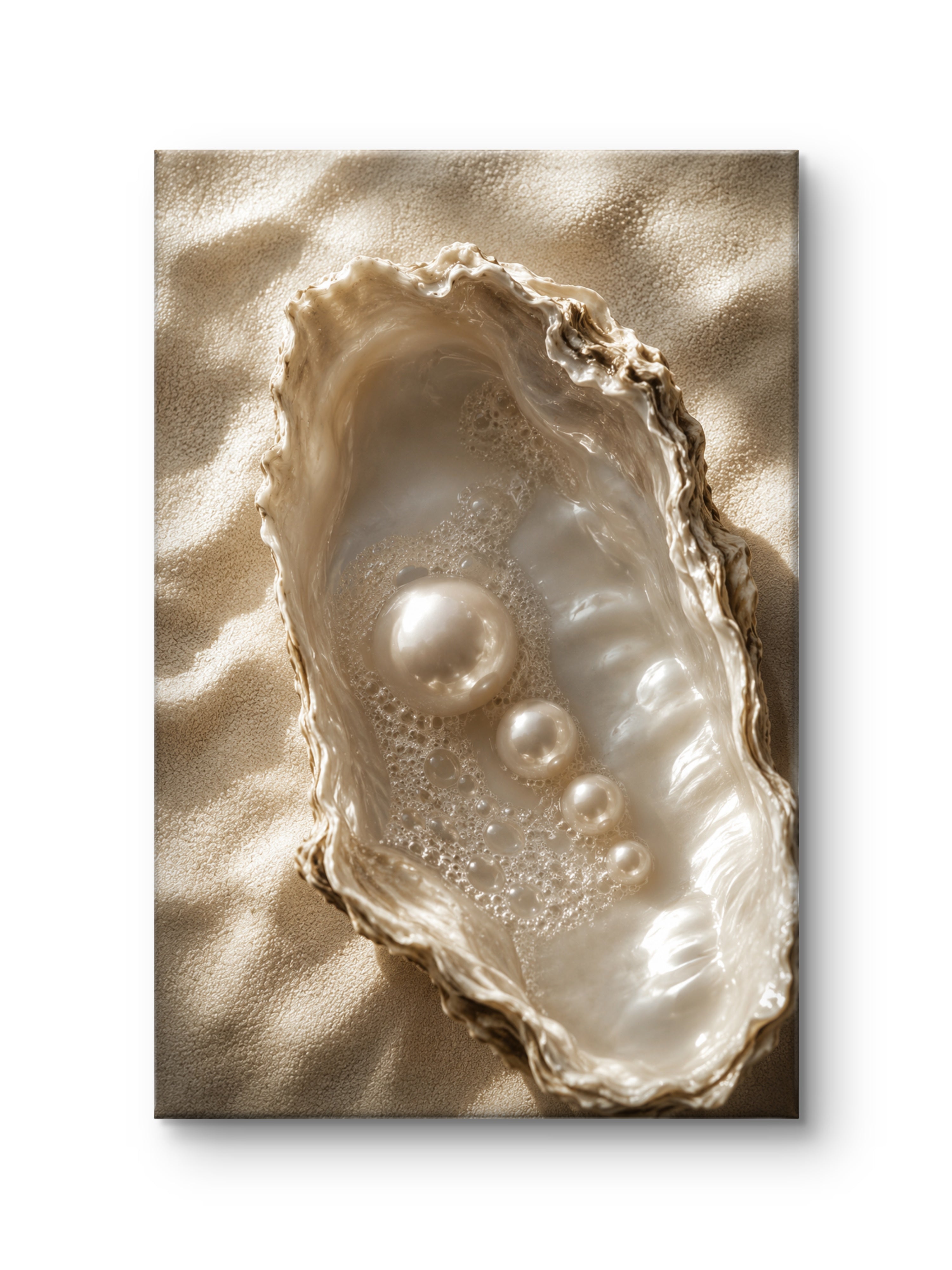 Ocean Treasure