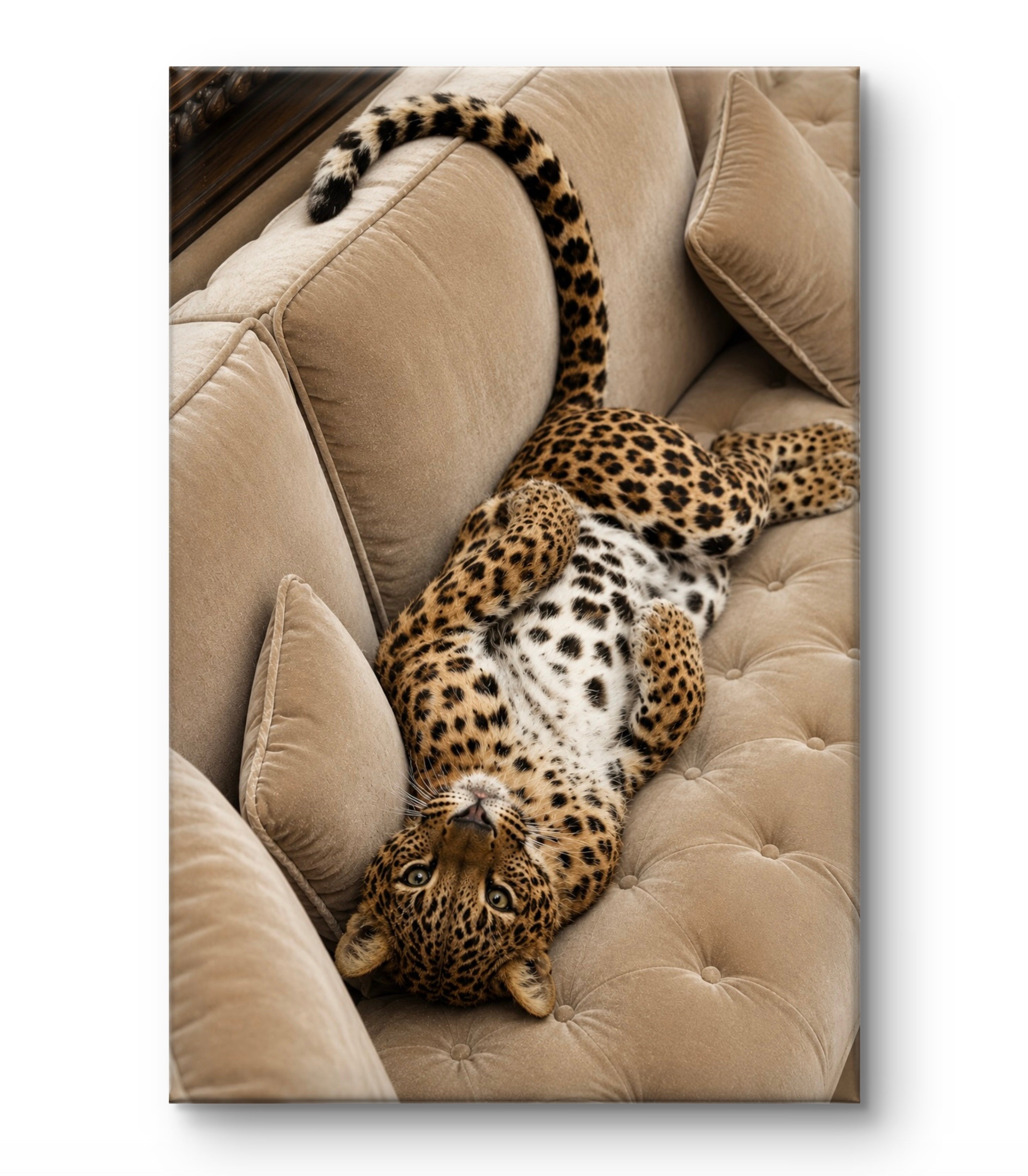 Velvet Leopard