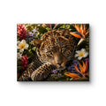 Leopard Garden Summer