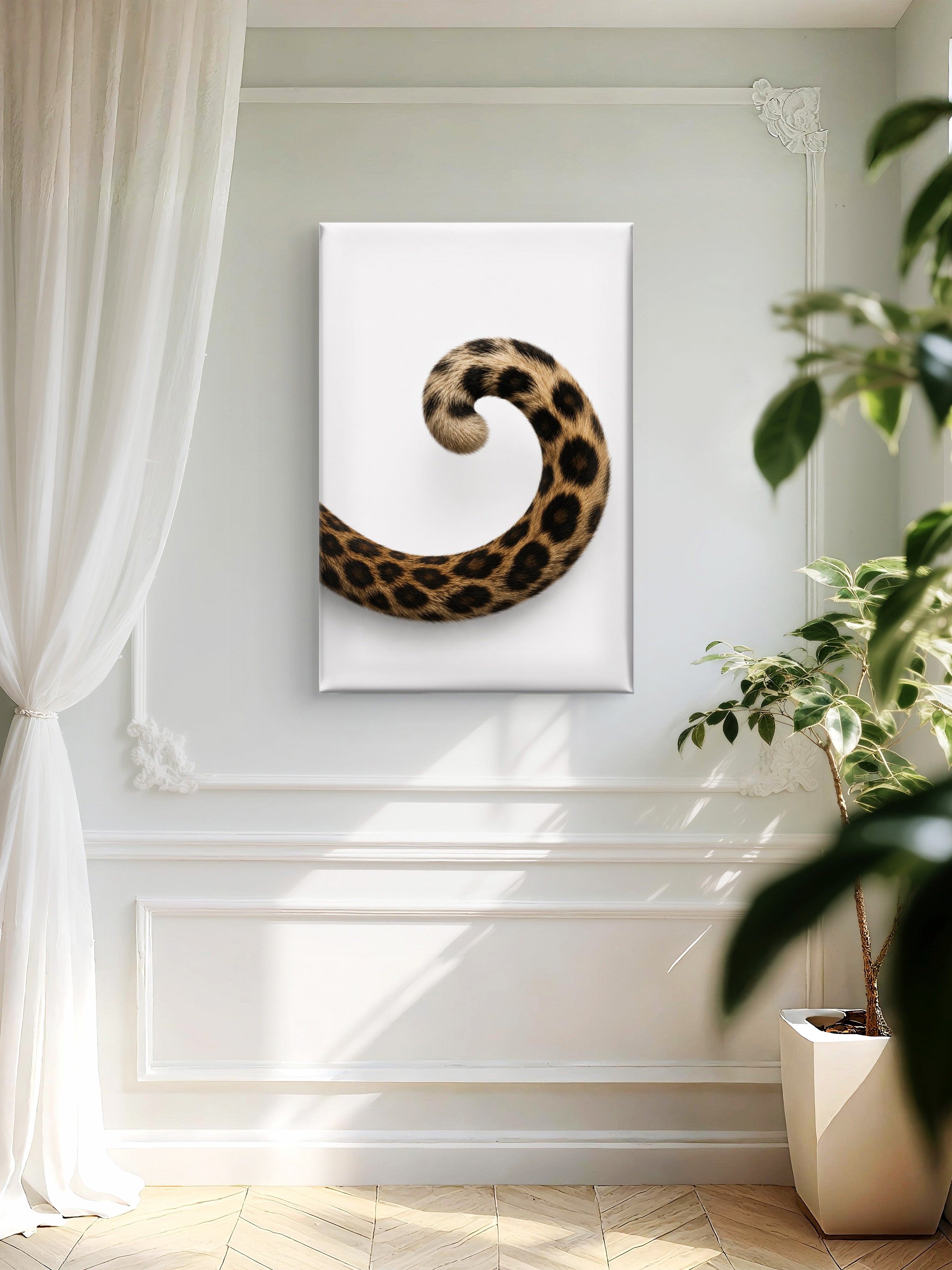 The Curve