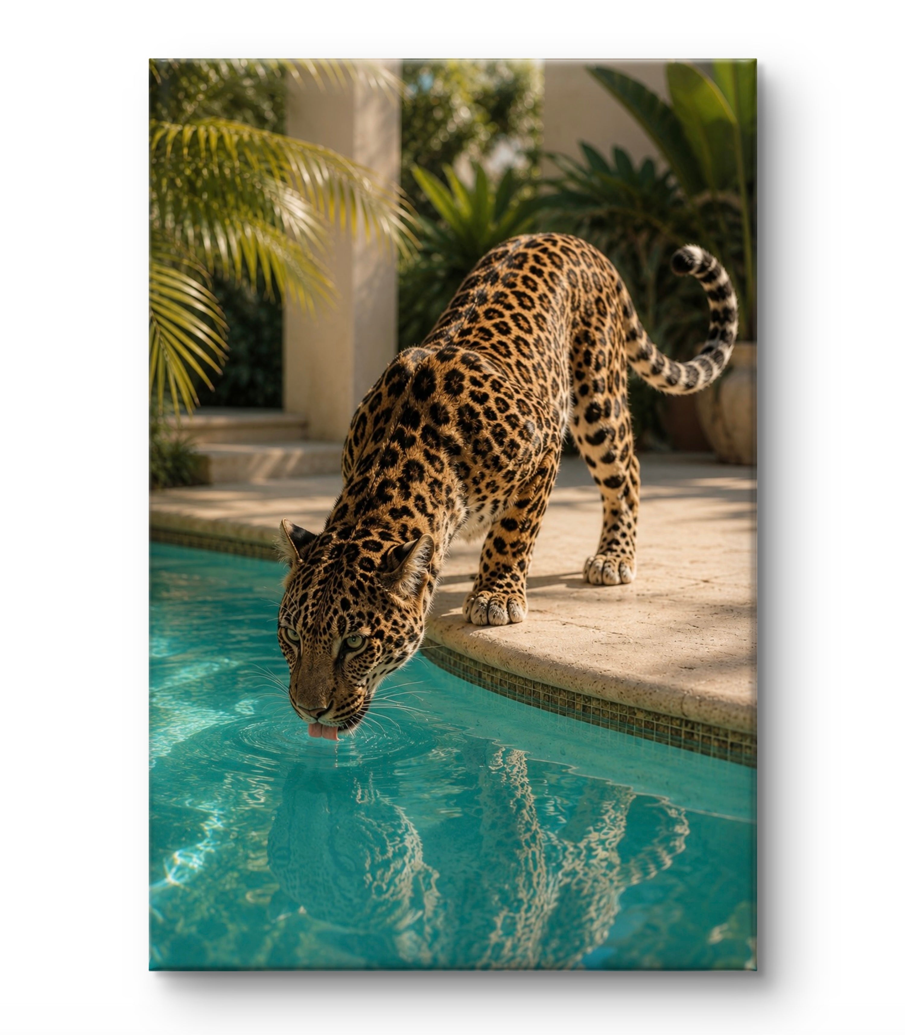 Leopard Retreat
