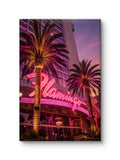 Flamingo Nights