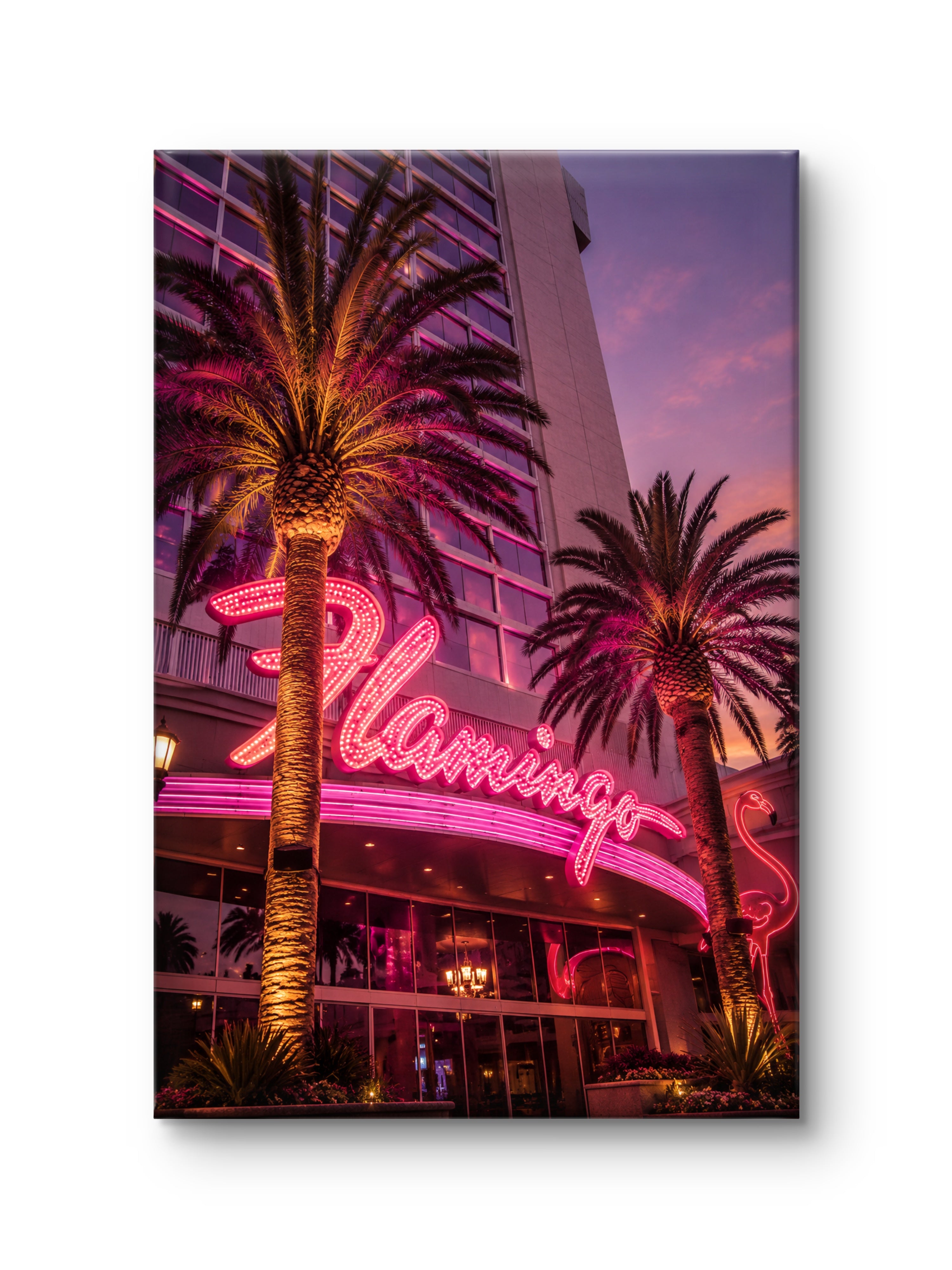 Flamingo Nights