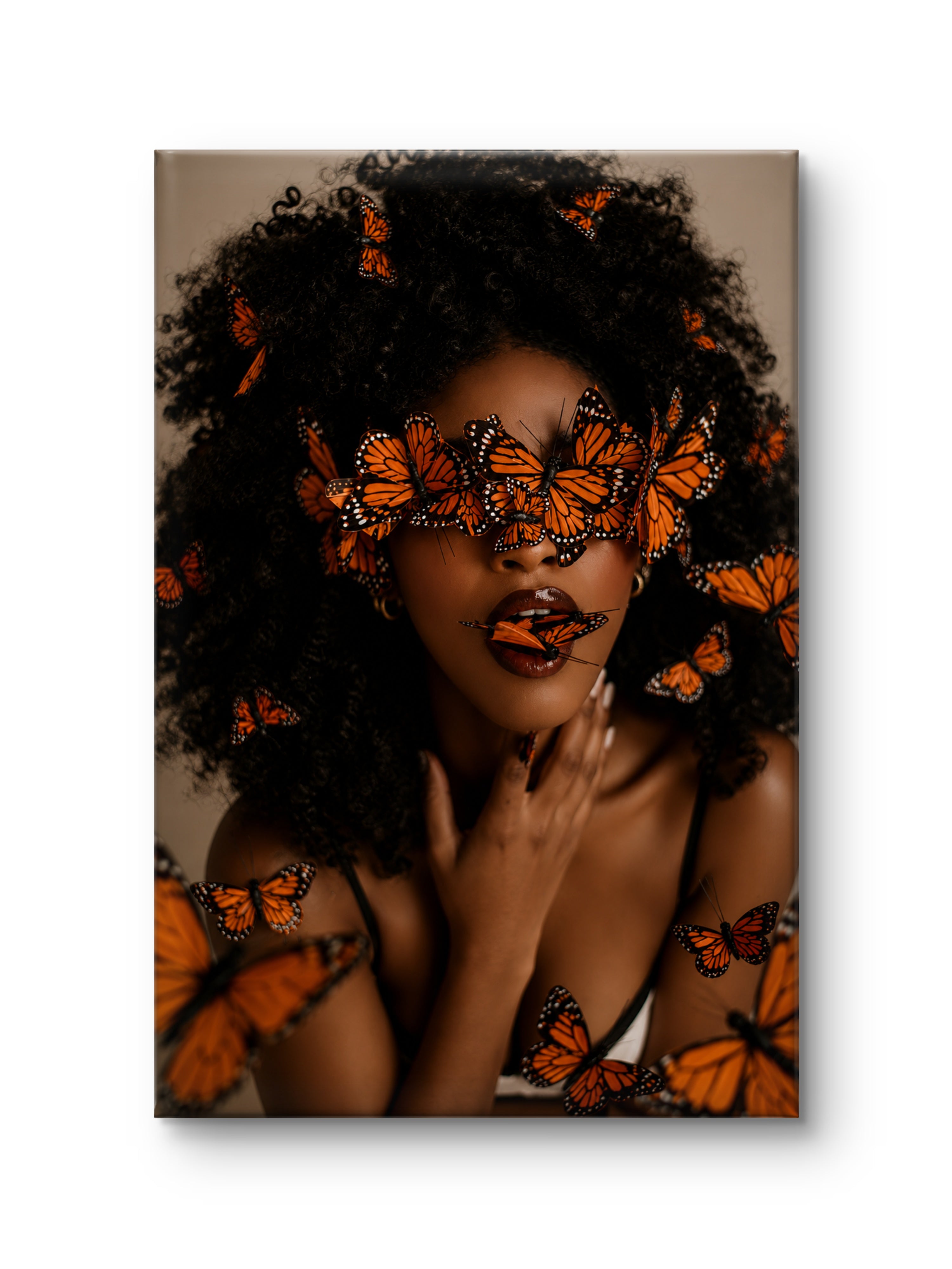 Monarch Veil