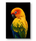Colored Bird