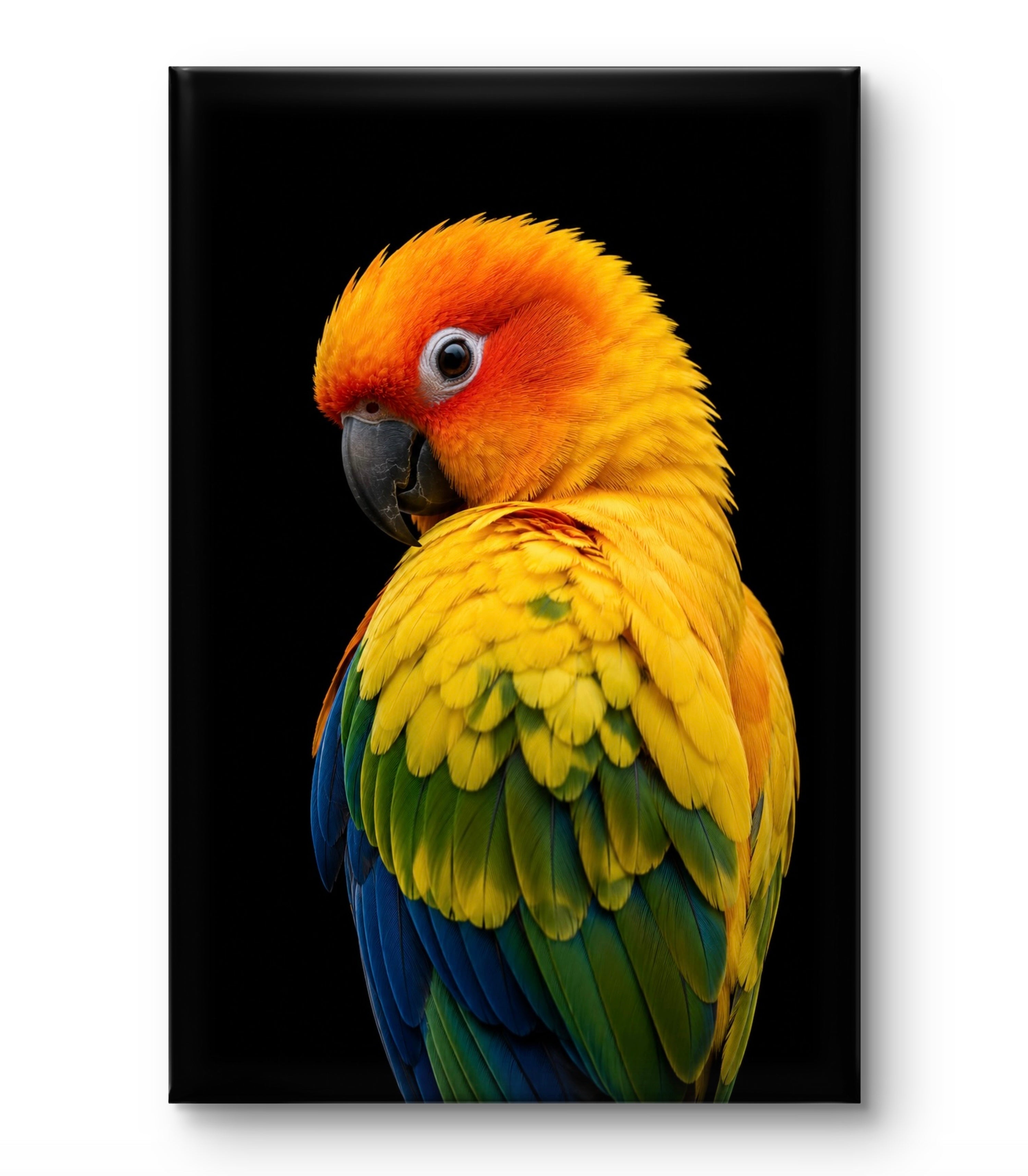 Colored Bird