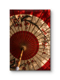 Sakura Dreams