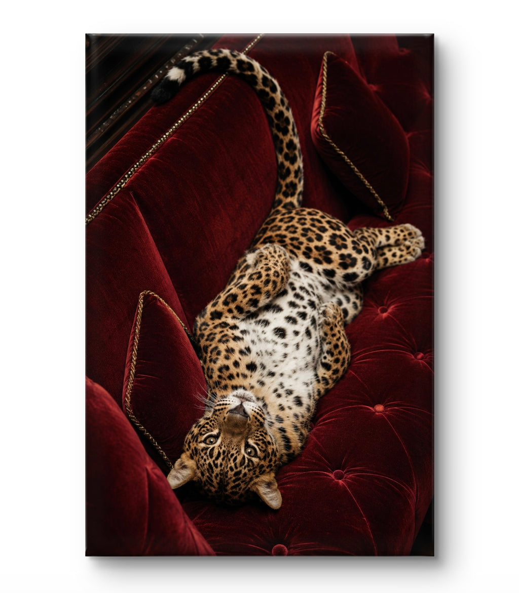 Red Velvet Leopard