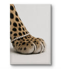 Diamond Paw