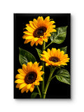 Golden Bloom