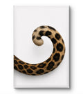 The Curve