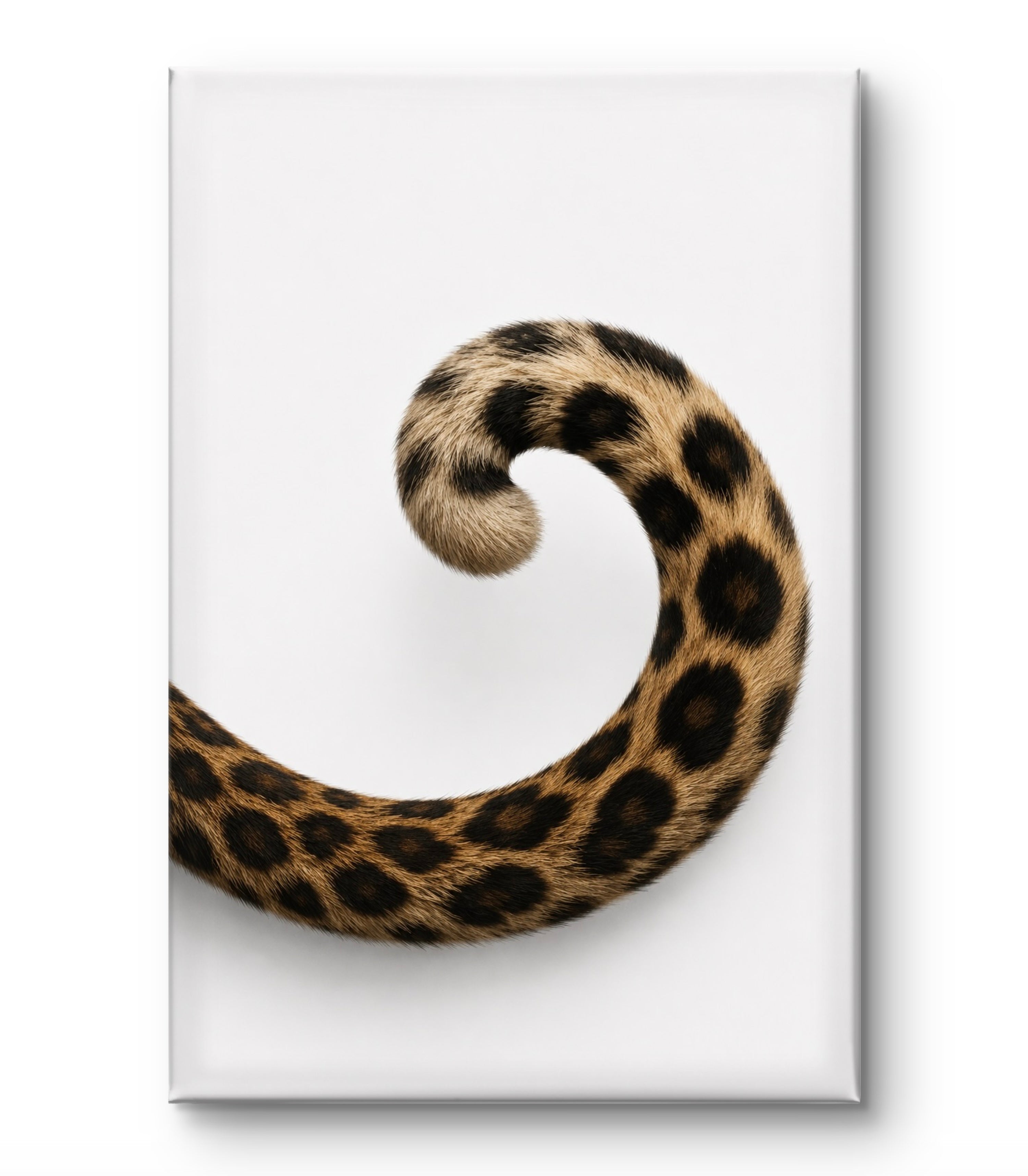 The Curve