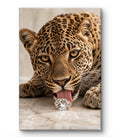Taste for Luxury