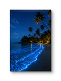 Midnight Glow Beach
